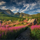 Puzzle - Dino - Valea Gaseinica