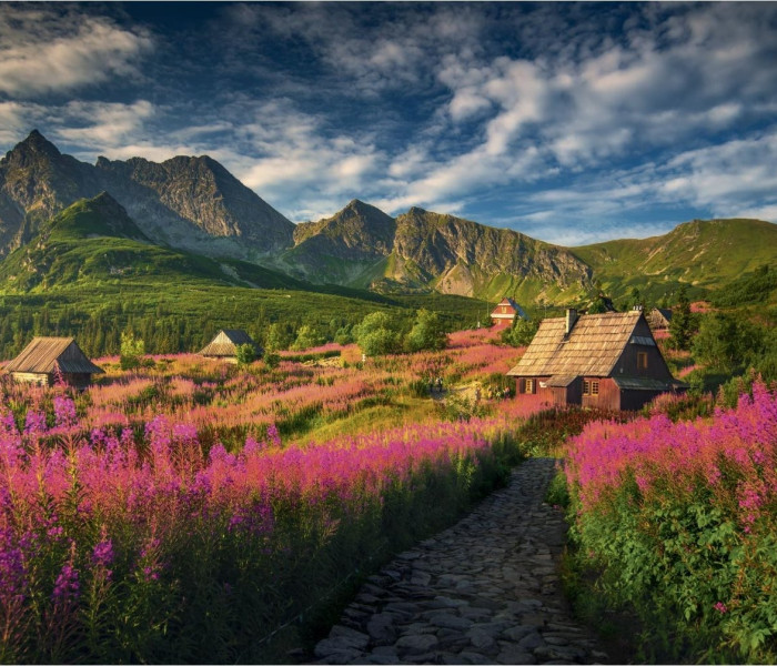 Puzzle - Dino - Valea Gaseinica