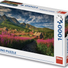 Puzzle - Dino - Valea Gaseinica