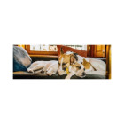 Puzzle - Dino - Gump na kanapie