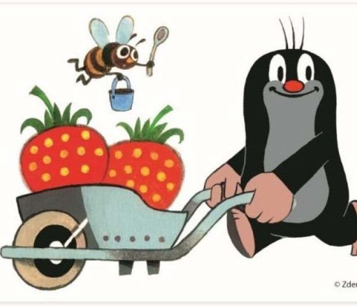 Puzzle - Dino - Krtko