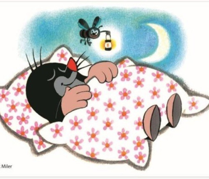 Puzzle - Dino - Krtko