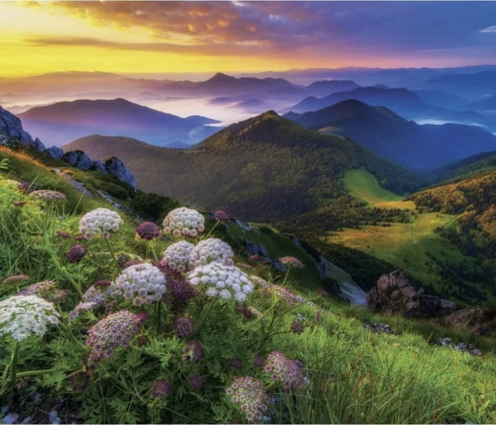 Puzzle - Dino - Mała Fatra