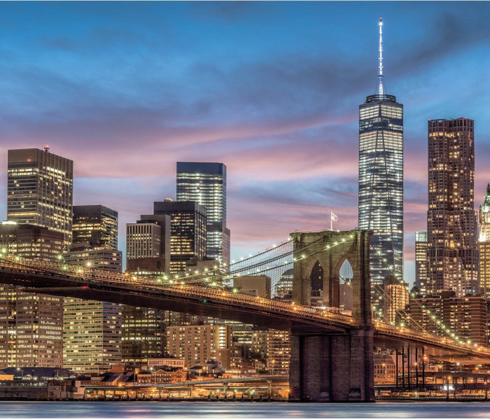 Puzzle - Dino - New York - Puzzle luminos