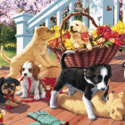 Puzzle - Dino - Cățeluși colecție secretă