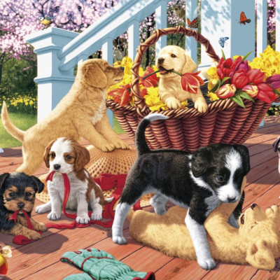 Cățeluși colecție secretă