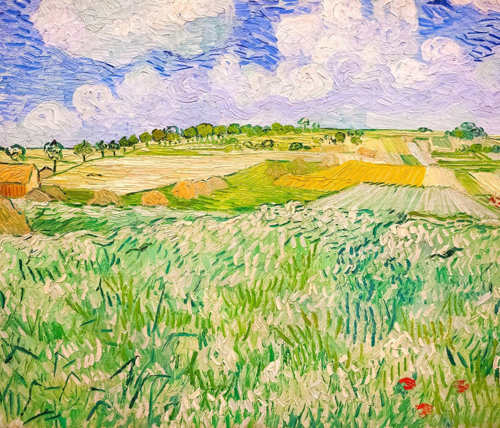 Puzzle - Enjoy - Peisaj din Auvers