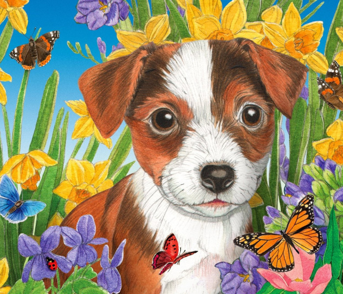 Puzzle - Enjoy - Cățeluși în grădină