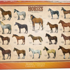 Puzzle - Eurographics - Kone