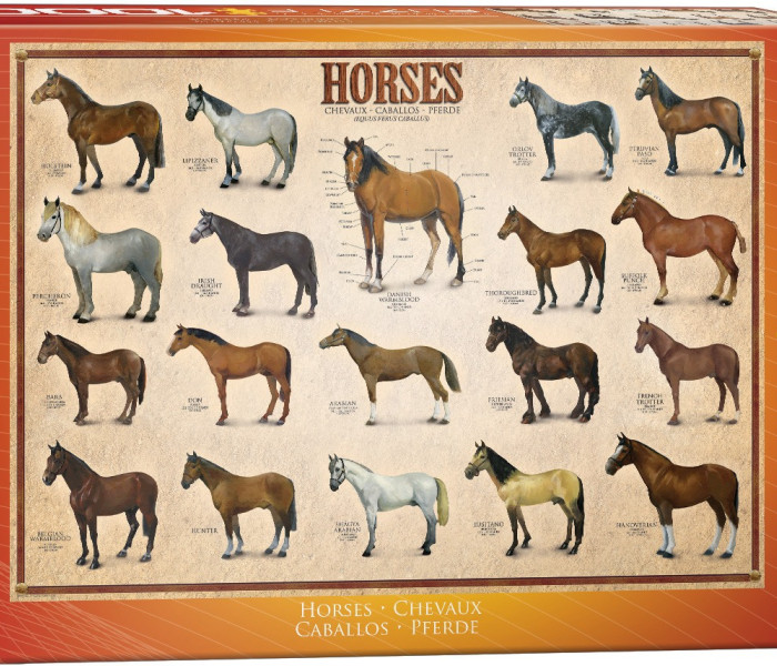 Puzzle - Eurographics - Kone