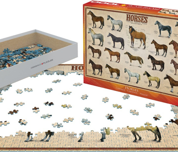 Puzzle - Eurographics - Kone