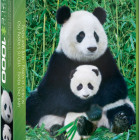 Puzzle - Eurographics - Panda a mláďa