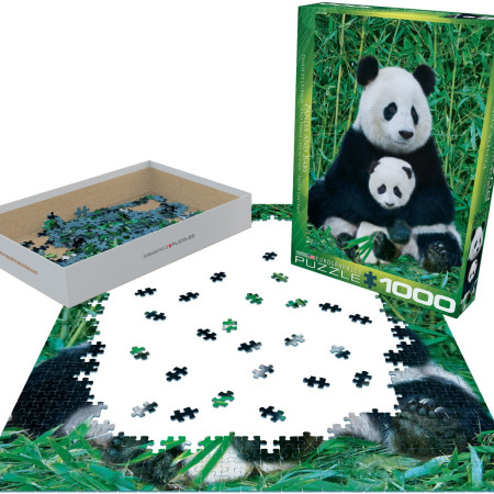 Panda a mláďa