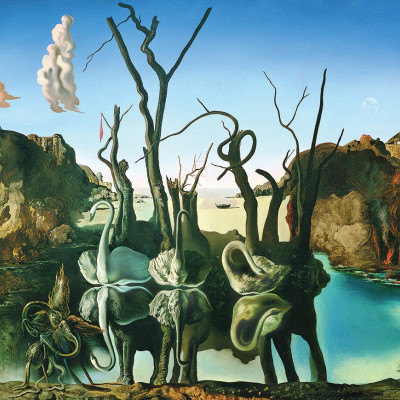 Salvador Dalí Labute odrážajúce slony