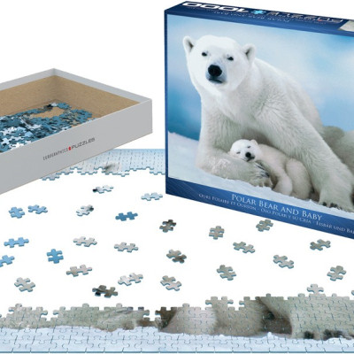 Urs polar