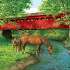 Puzzle - Eurographics - Most pri Sweet Water