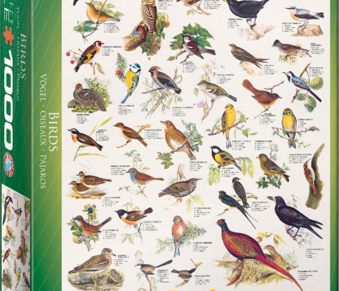 Puzzle - Eurographics - Uccelli