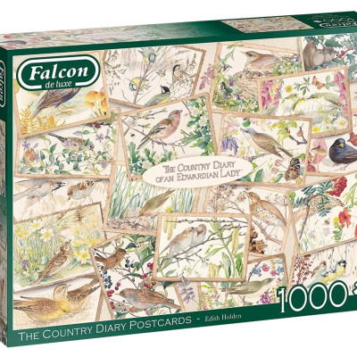 Pohľadnice z vidieckeho denníka