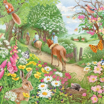 Popoludňajšia vychádzka