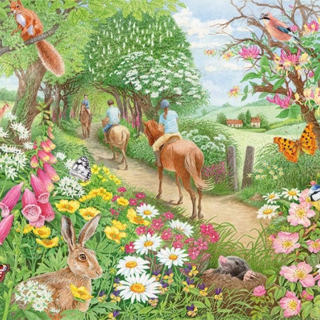 Popoludňajšia vychádzka