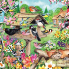 Puzzle - Falcon - Vtáky na jarnej záhrade