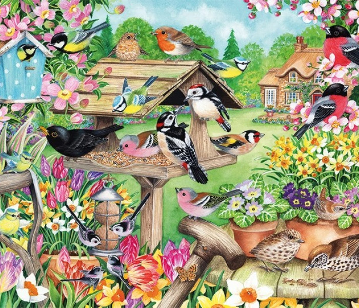 Puzzle - Falcon - Vtáky na jarnej záhrade