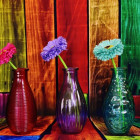 Puzzle - Grafika - Farebné vázy s kvetinami