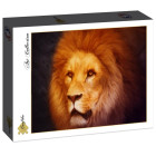 Puzzle - Grafika - Lev
