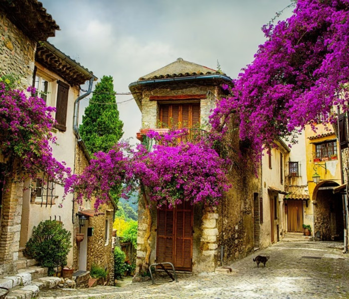 Puzzle - Grafika - Prowincja, Francja