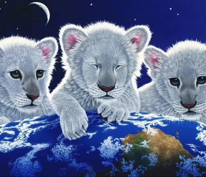 Puzzle - Grafika - Tajomstvo a nádej