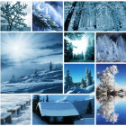 Puzzle - Grafika - Zimná koláž
