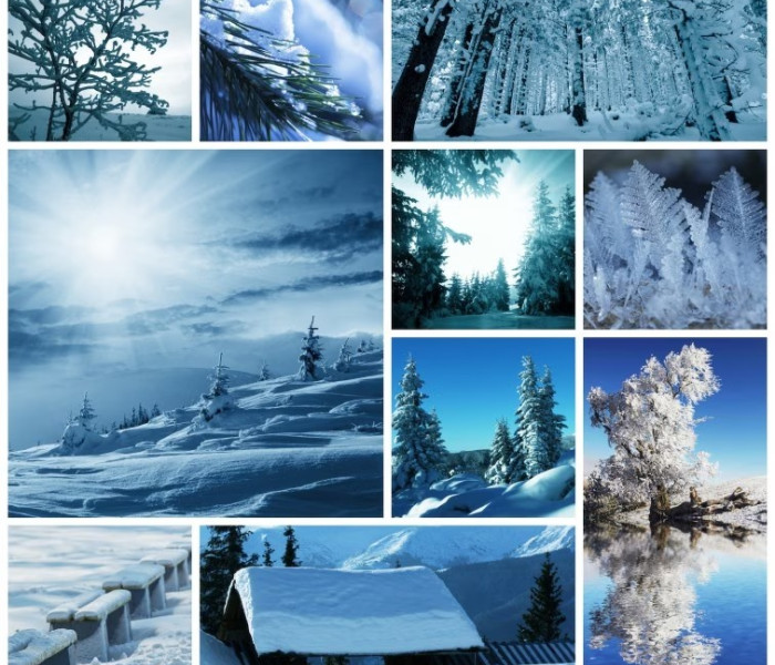 Puzzle - Grafika - Zimná koláž