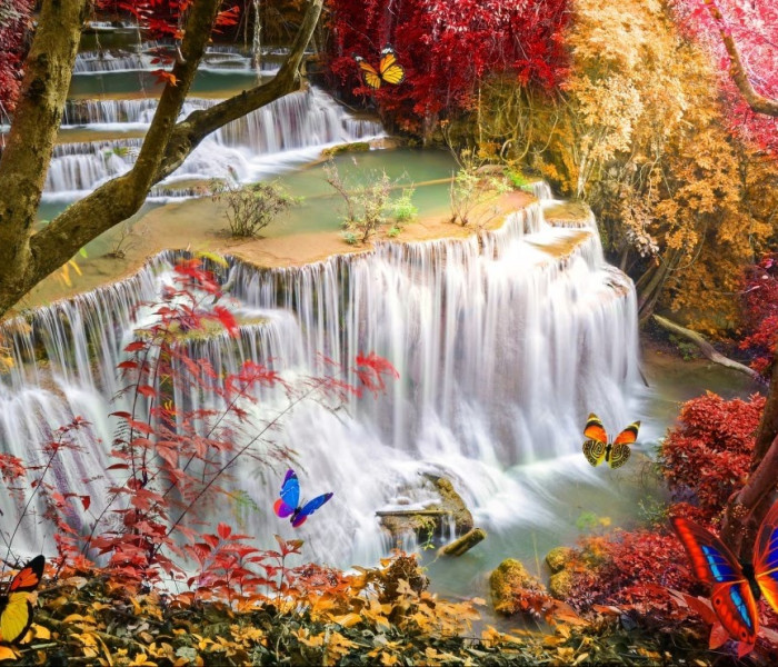 Puzzle - Grafika - Vodopád v hlbokom lese