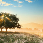 Puzzle - Heye - Hra svetla - Panoramatické puzzle