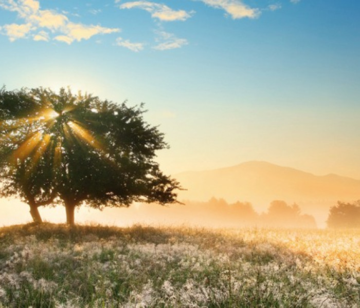 Puzzle - Heye - Hra svetla - Panoramatické puzzle