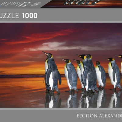 Kráľovské tučniaky - Panoramatické puzzle