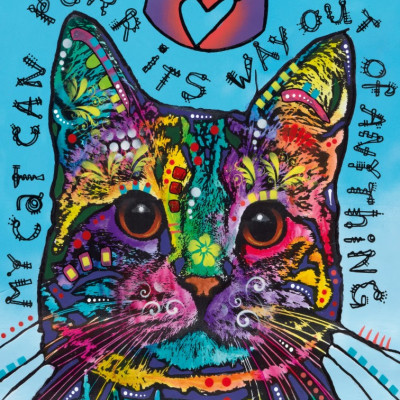 Moja mačka vie pradiť