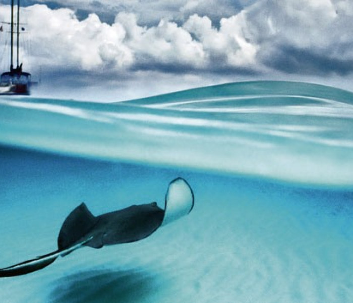 Puzzle - Heye - Raja - Panoramatické puzzle