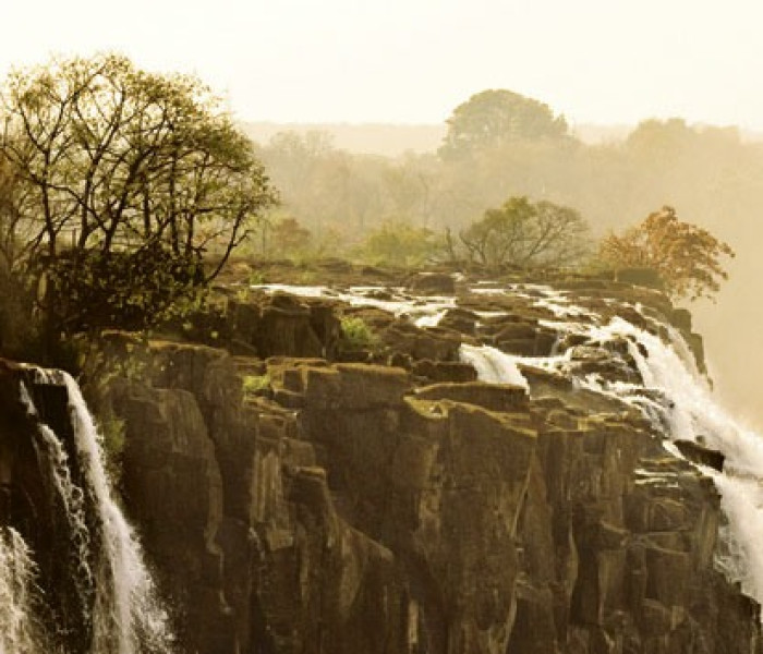 Puzzle - Heye - Elefant - Puzzle panoramic