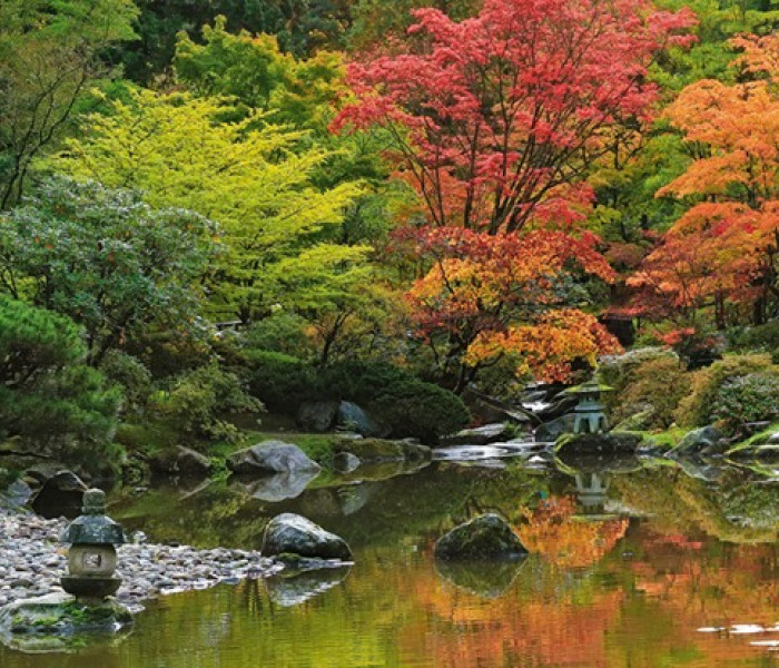 Puzzle - Heye - Refleksja zen - Puzzle Panoramiczne