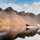 Puzzle - Heye - Islandské kone - Panoramatické puzzle