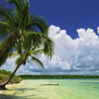 Puzzle - Heye - Rai cu palmieri - Puzzle panoramic