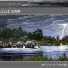 Puzzle - Heye - Slonie stádo - Panoramatické puzzle