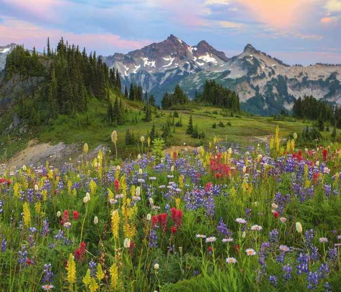 Puzzle - Heye - Pohorie Tatoosh