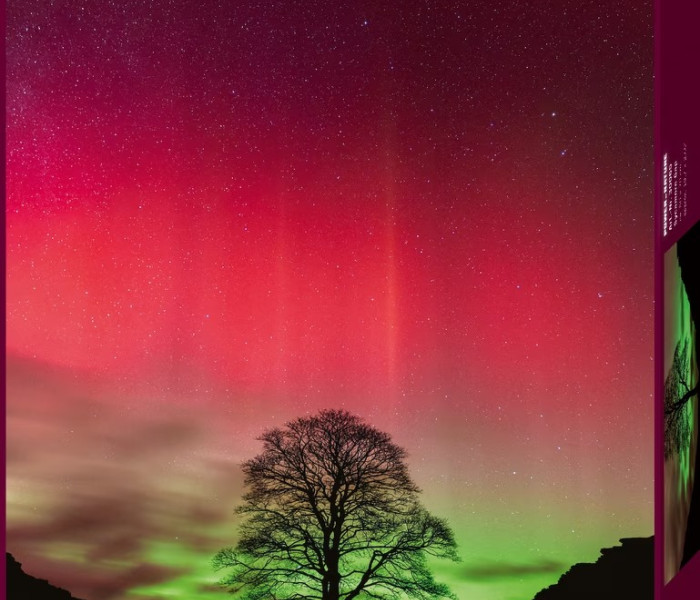 Puzzle - Heye - Strom Robina Hooda