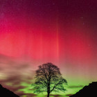 Puzzle - Heye - Strom Robina Hooda