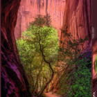 Puzzle - Heye - Śpiewający Kanion