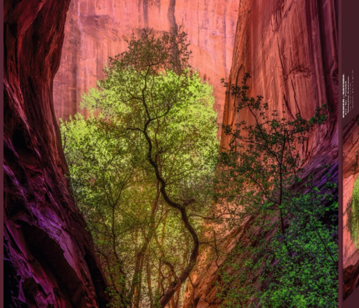 Puzzle - Heye - Śpiewający Kanion