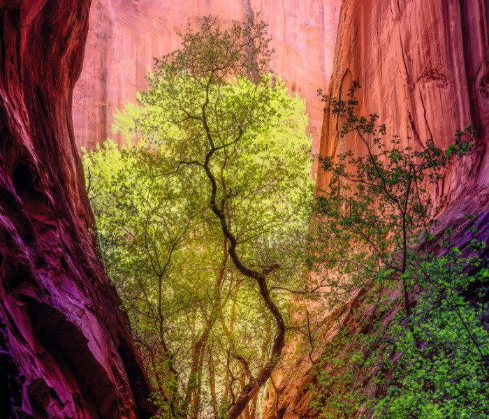 Puzzle - Heye - Śpiewający Kanion