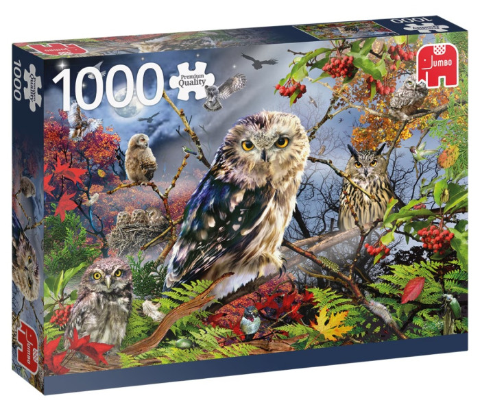 Puzzle - Jumbo - Sovy vo svite mesiaca